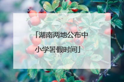 湖南两地公布中小学暑假时间